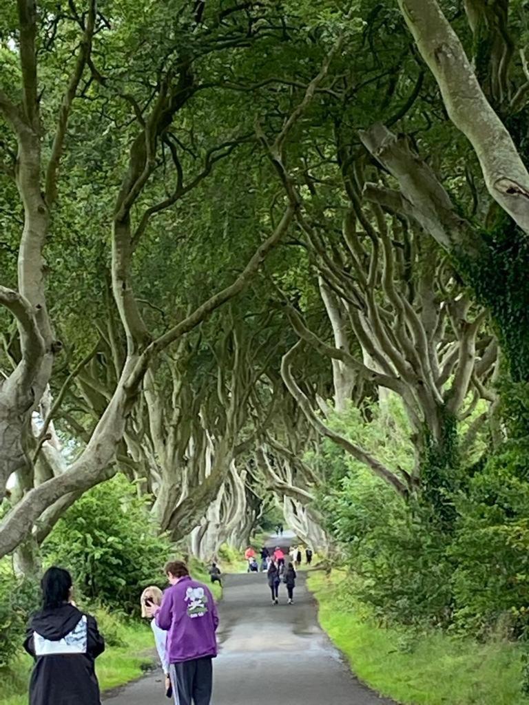 Ballywalter The Old Vicarage Ni B&B מראה חיצוני תמונה
